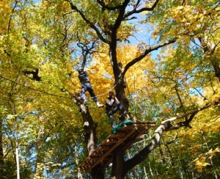  Schwarzer Parcours in den Bäumen